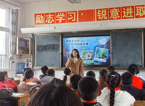 1774480800806194.png QQ_1774480700609.png