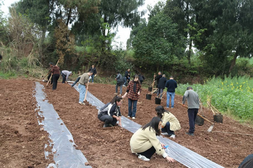 1774508955341138.png 2-2.png