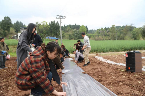 1774508970727189.png 2-5.png