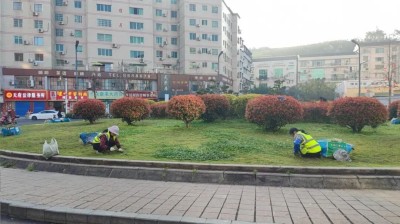 1774600863203415.jpg 03.jpg