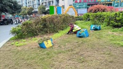 1774600869367274.jpg 04.jpg