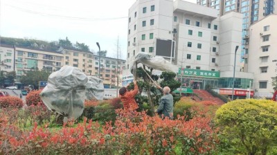 1774600883880928.jpg 05.jpg