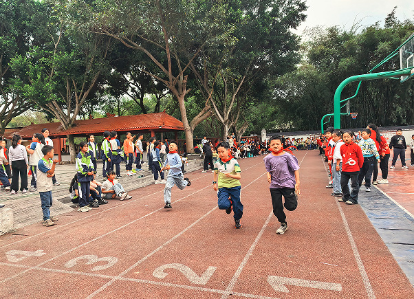 1774826851273201.png QQ_1774826715094.png