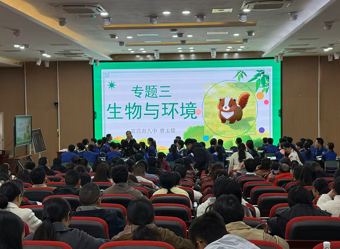 1774866156256694.png QQ_1774866054253.png