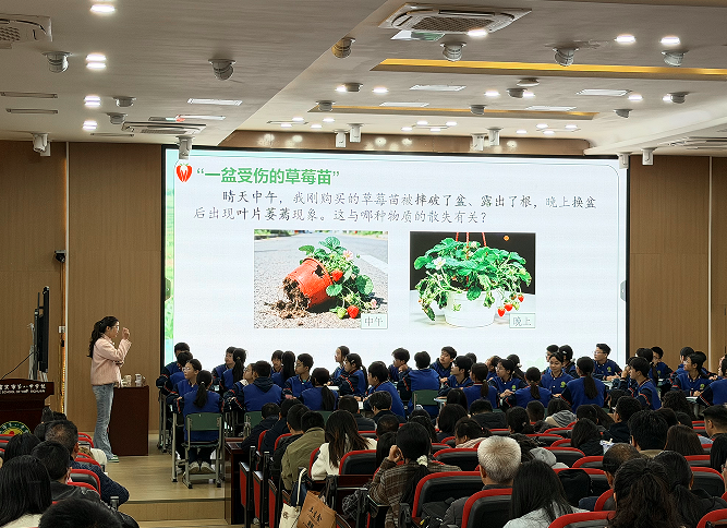 1774866194758571.png QQ_1774866062345.png