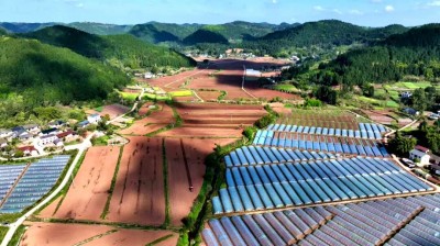 �й����㵳������30��Ķ���ײ��֡������ܡ� ũ�����촺�����ܽ�����