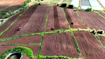 1774919763606020.jpg 02.jpg