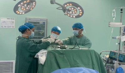 �գ�5cm­�ھ���������������