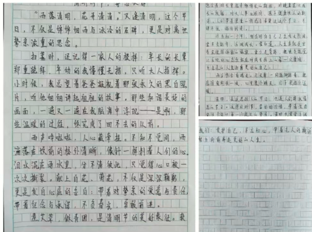 1775262181179874.png QQ_1775262055771.png