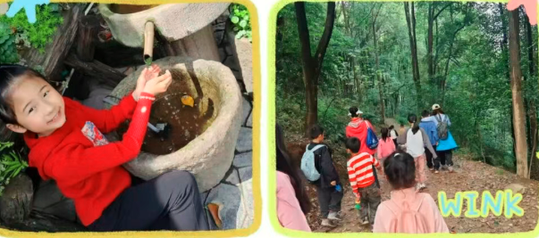 1775262299713811.png QQ_1775261968822.png