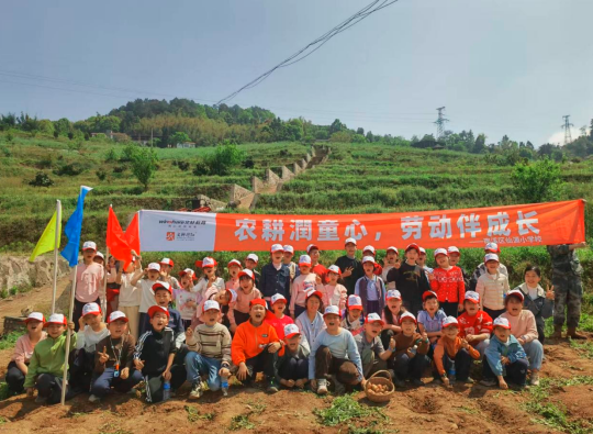 1775262654414729.png QQ_1775262643849.png