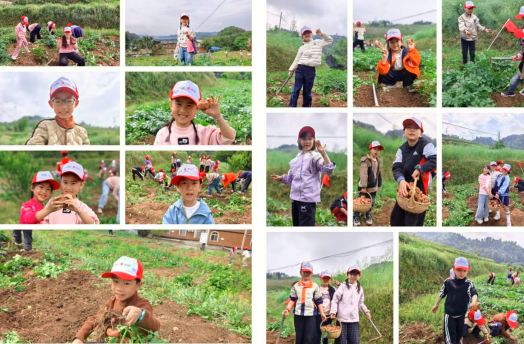 1775262673132571.png QQ_1775262610931.png