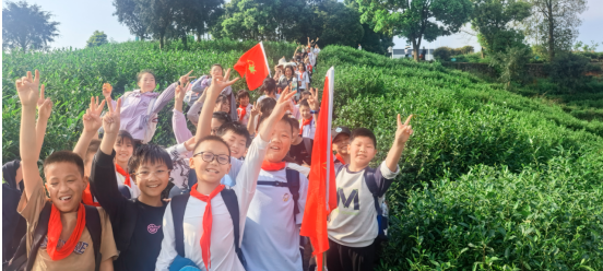 1775263272854027.png QQ_1775263215146.png