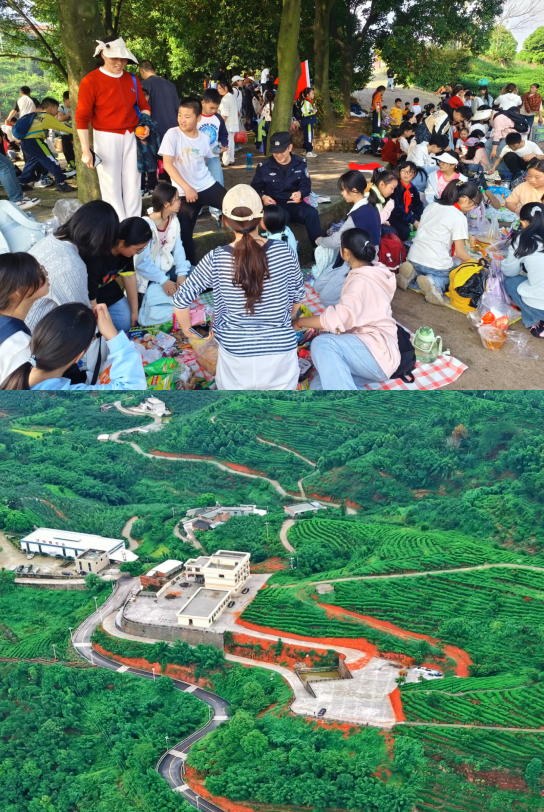 1775263373136627.png QQ_1775263125561.png