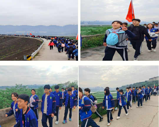 1775356597210274.png QQ_1775356522611.png