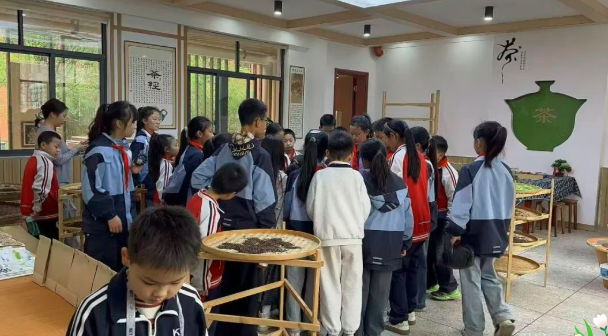 1775357655482515.png QQ_1775357644579.png