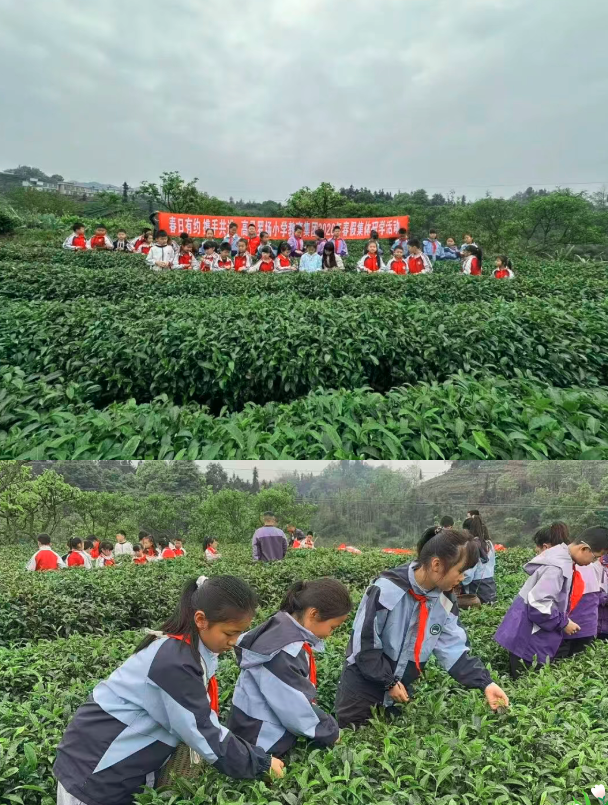 1775357674142657.png QQ_1775357664415.png