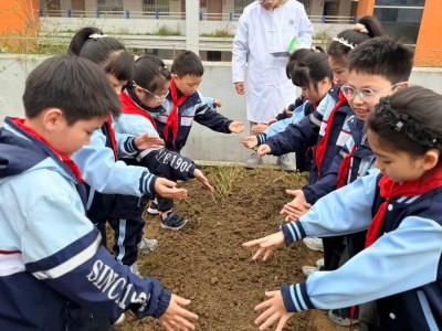 1775438254343016.jpg 08.jpg