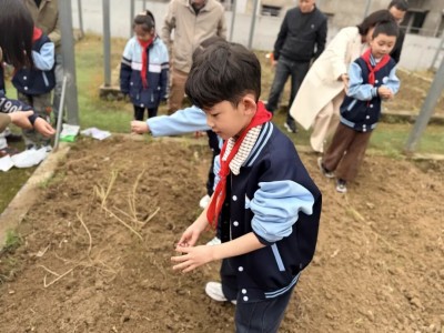 1775438263748956.jpg 09.jpg