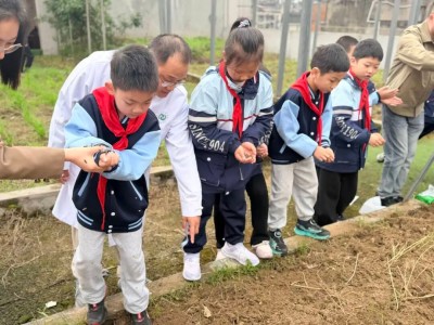 1775438269535968.jpg 10.jpg