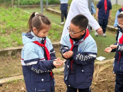 1775438275812583.jpg 11.jpg