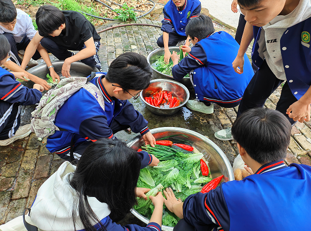 1775556058466691.png QQ_1775556008392.png