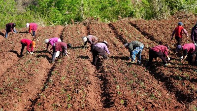 ��˯���ػ���������Ч԰�ر������ա��۱�