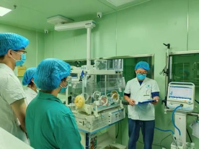 ���ز��� 2kg�����˫��̥�ڴ���ӭ������