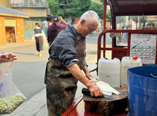 1775816589122202.png QQ_1775816461765.png