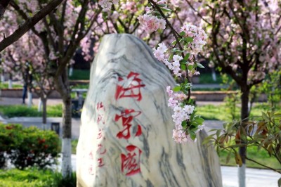 �й����㵳��������֦������ʱ