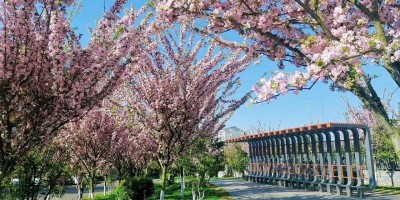 1775965518595328.jpg 02.jpg