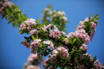 1775965533991742.jpg 04.jpg