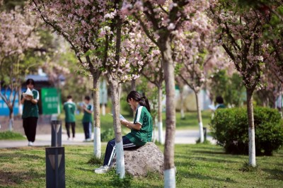 1775965540755711.jpg 05.jpg