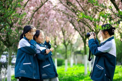 1775965550349206.jpg 06.jpg