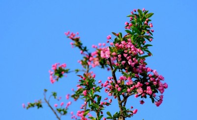 1775965565761376.jpg 07.jpg