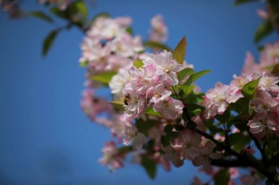 1775965571183279.jpg 08.jpg