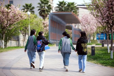 1775965585380192.jpg 09.jpg