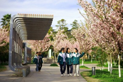 1775965591608437.jpg 10.jpg