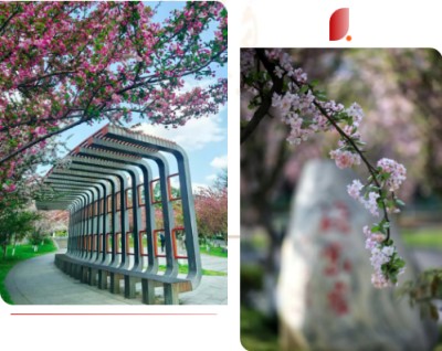 1775965599445713.jpg 11.jpg